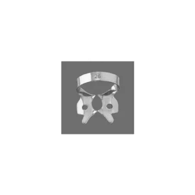 Lower Molars