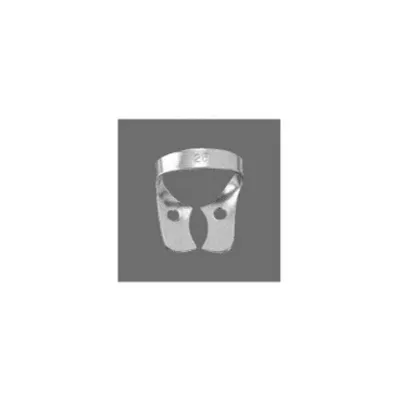 Lower Molars