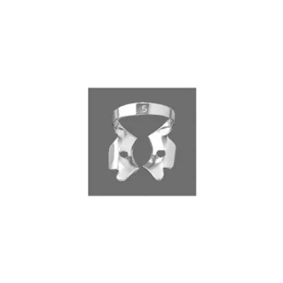 Upper Molars