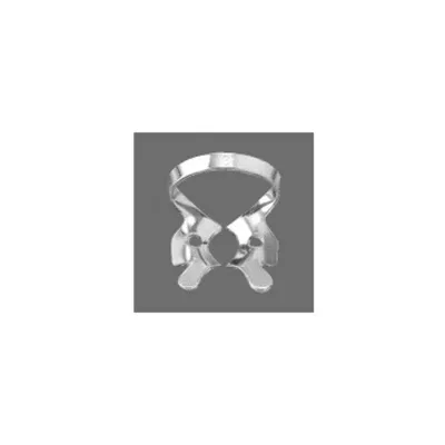 Upper Molars