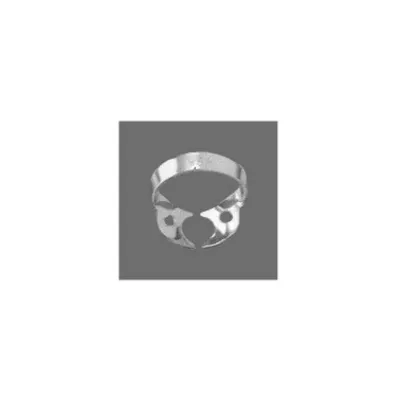 Molars