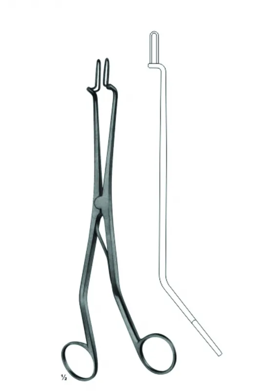 Endospecula ForCervix