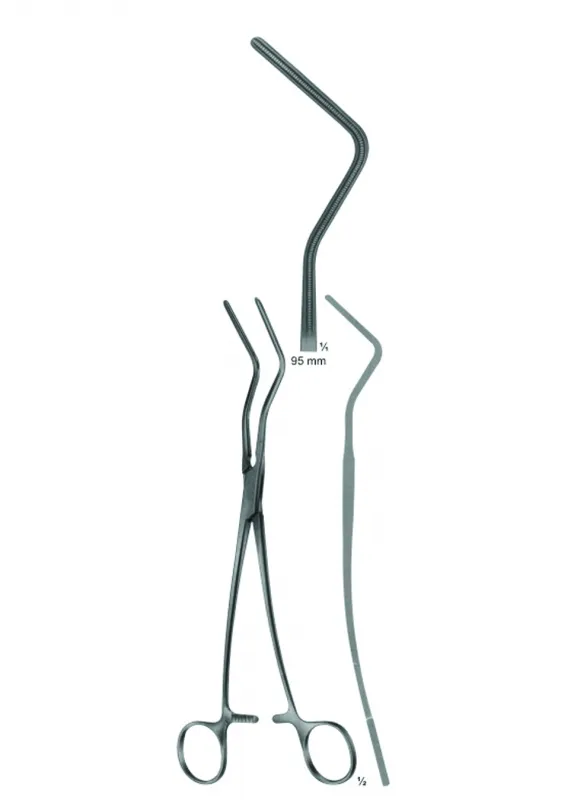 Atraumata Anastomosis And Ascending Aotra Cross, Bronchus Clamps