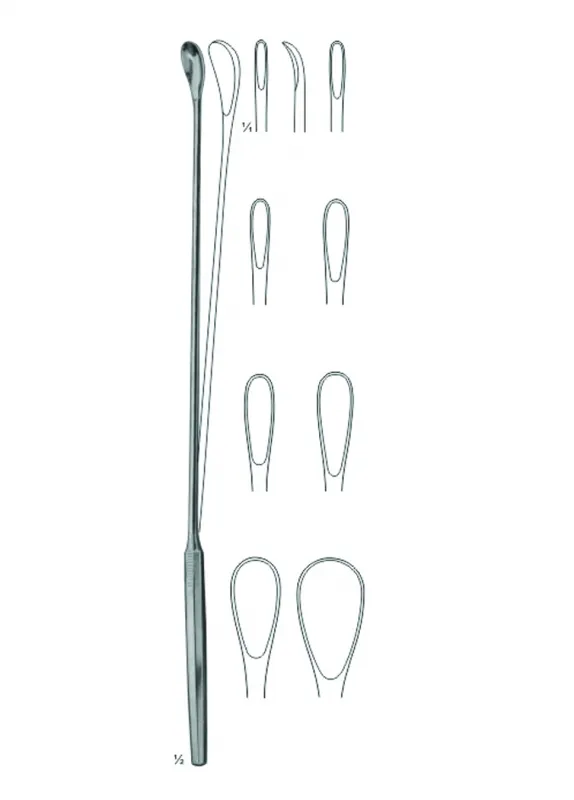 Gall Duct Dilators &amp; Gall Stone Scoops