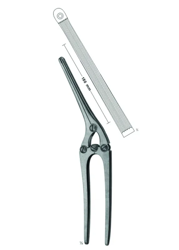 Intestinal and Pylorus Clamps