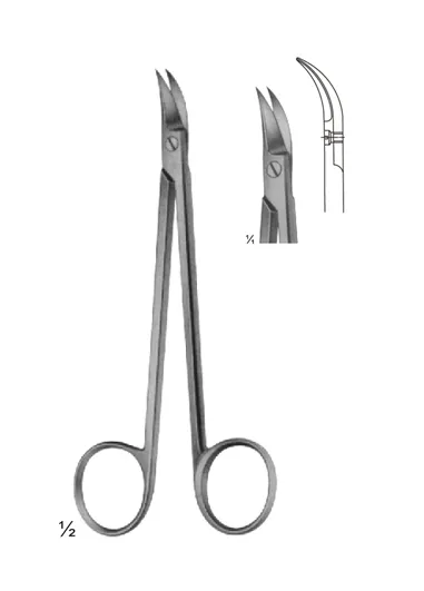 Delicate Scissors