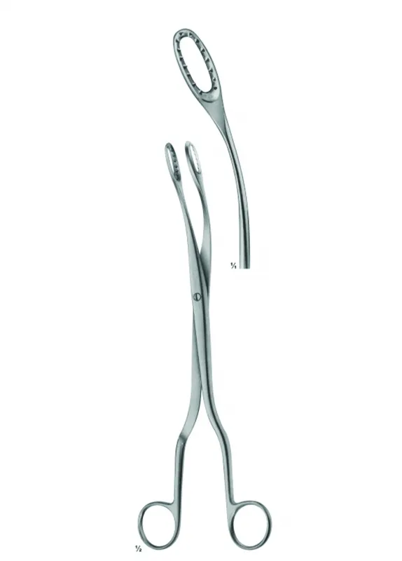 Obstetrics-Placenta and Ovum Forceps